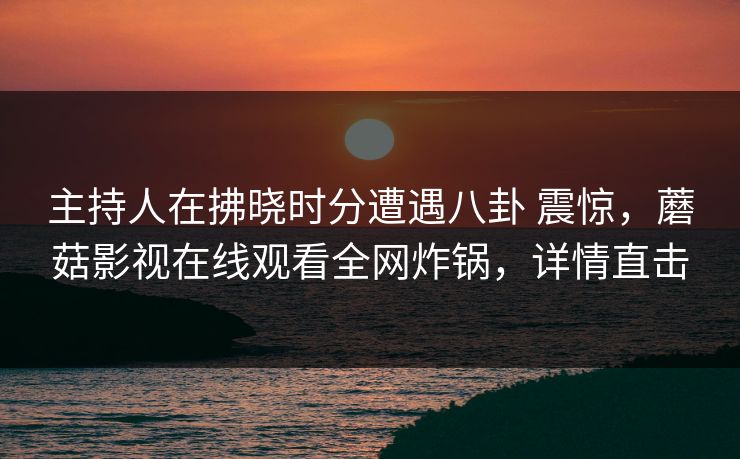 主持人在拂晓时分遭遇八卦 震惊，蘑菇影视在线观看全网炸锅，详情直击