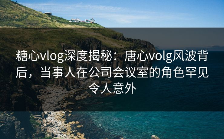 糖心vlog深度揭秘：唐心volg风波背后，当事人在公司会议室的角色罕见令人意外