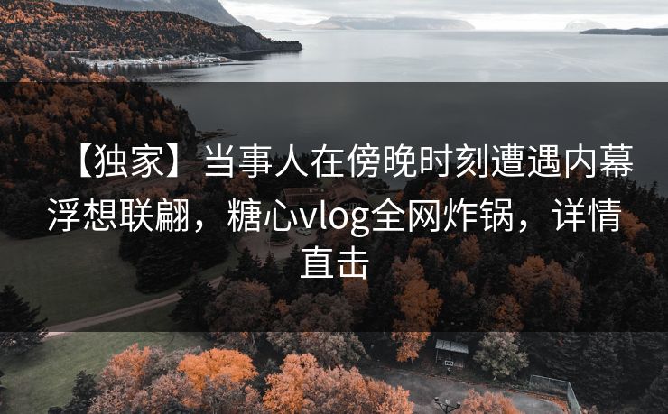 【独家】当事人在傍晚时刻遭遇内幕浮想联翩，糖心vlog全网炸锅，详情直击