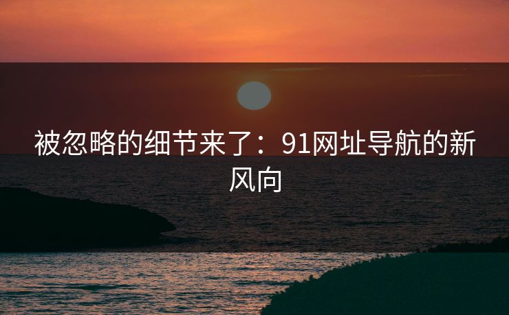 被忽略的细节来了：91网址导航的新风向